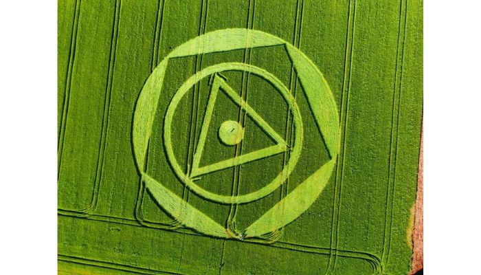 Agroglifo aparece em plantação de trigo em SC: 'Negócios misteriosos', diz proprietário